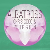 Albatross (The Orb Remix) artwork