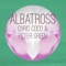 Albatross (00's Edit) artwork