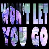 Won't Let You Go (feat. Chi Chi) artwork