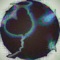 Shell - Mattia Tardio lyrics