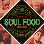 Soul Food (A cappella) artwork