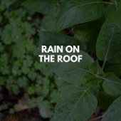 Rain on a Tin Roof artwork