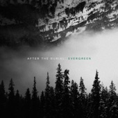 Evergreen artwork