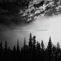 After the Burial - Evergreen artwork
