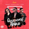 Quiéreme Ahora (Remix) - Single
