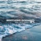 Birds Call and Water Sounds - Ocean Beach Waves Consort lyrics
