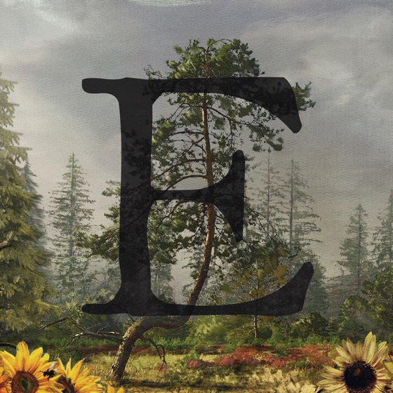 Cover artwork for Solace and Serenity
