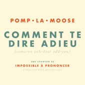 Comment Te Dire Adieu artwork