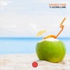 Coconut Cove - Single