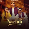 Nachdi (feat. Garry Sandhu) - Single