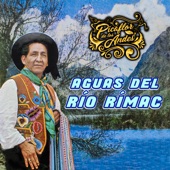 Aguas del Río Rímac artwork