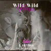 Wild Wild Horses (feat. Jay Sean & Pitbull) [Remixes] album lyrics, reviews, download