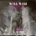 Wild Wild Horses (feat. Jay Sean & Pitbull) [Remixes] album cover