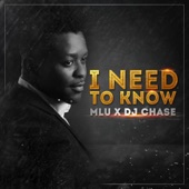 I Need to Know (feat. DJ Chase) artwork