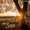 Mr. Sun - Single