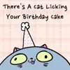 There's a Cat Licking Your Birthday Cake song lyrics