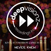 Never Knew (Sandy Rivera's Classic Mix) artwork