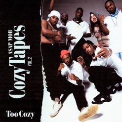 COZY TAPES - VOL 2 - TOO COZY cover art