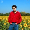 The Toys - ไวน์ลดา