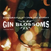 Gin Blossoms - Follow You Down