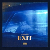 EXIT artwork