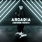 Arcadia (Jerome Remix) artwork