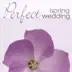 Perfect Spring Wedding album cover