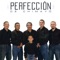 Maldita Suerte - Perfeccion lyrics