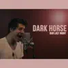 Dark Horse (Rock Version) song lyrics