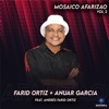 Mosaico Afarizao, Vol. 2: Sua Sua / La Piña Madura / La Flor de Patilla / Un Poquito de Cariño (feat. Andrés Farid Ortiz) - Single