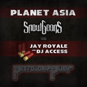 Pistol Grip Pump (feat. Jay Royale & DJ Access) artwork