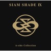 SIAM SHADE