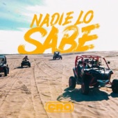 Nadie Lo Sabe (Single) artwork