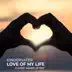 Love of My Life - Single album cover