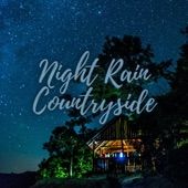 Night Rain Countryside artwork