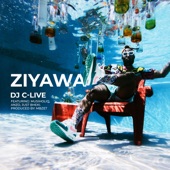 Ziyawa (feat. Musiholiq, Anzo & Just Bheki) artwork