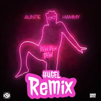 Pew Pew Pew (HUGEL Remix) by Auntie Hammy & HUGEL song reviws