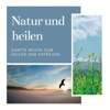 Natur und heilen - Sommer Regen, Vogelzwitschern und sanfte Musik zum heilen und erfreuen