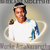 Namhlanjena Lizwakele artwork