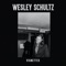 Green Eyes - Wesley Schultz lyrics