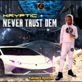 Never Trust Dem artwork