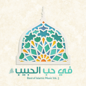 Fi Hubbil Habib - Best of Islamic Music, Vol. 3 (Arabic Version) - Verschiedene Interpreten