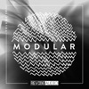 Modular, Vol. 38