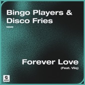 Forever Love (feat. Viiq) [Extended Mix] artwork