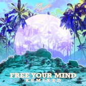 Free Your Mind Remixed artwork