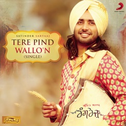 TERE PIND WALLO'N cover art