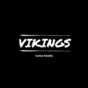 Vikings - Single album lyrics, reviews, download