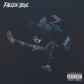 Fallen Soul artwork