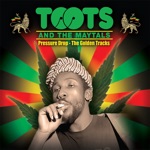 Toots & The Maytals - 54-46 Was My Number  (The Dub Version)