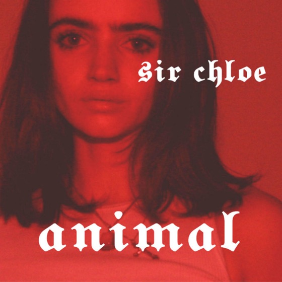 Cover artwork for Animal